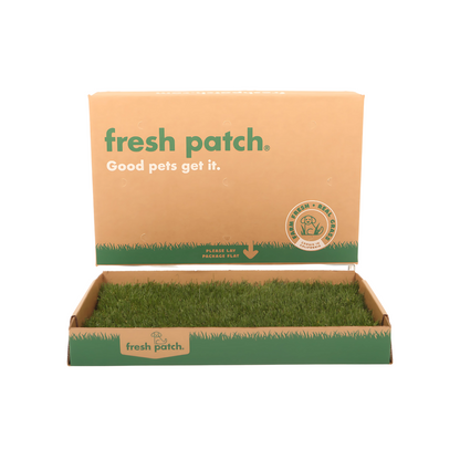 Cardboard box with real grass pad and 'fresh patch' branding on a white background